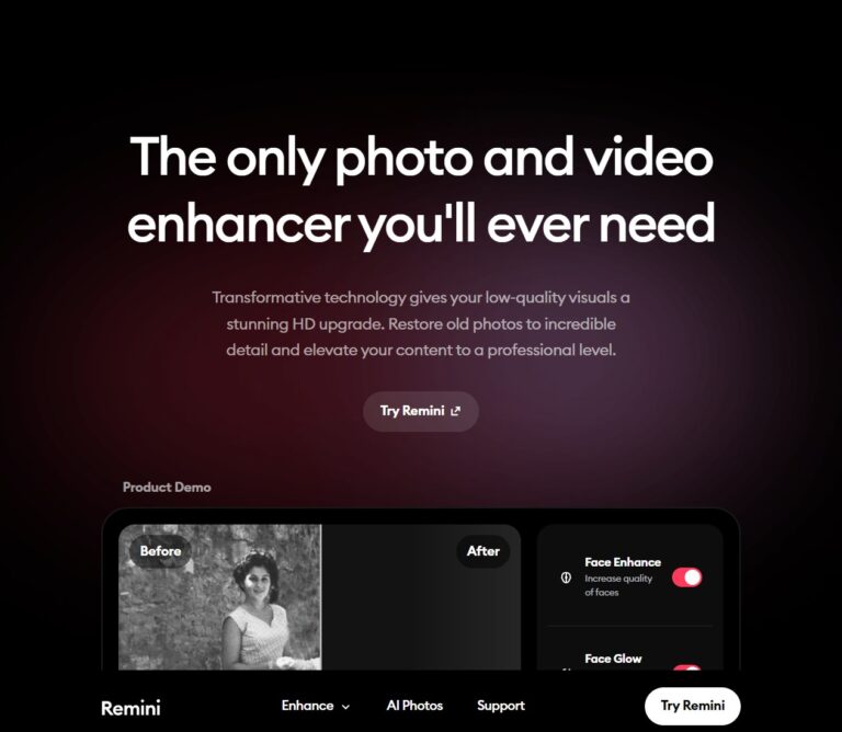 remini hero